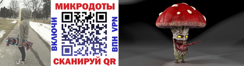 Галлюциногенные грибы Cubensis  нарко площадка клад  Порхов 