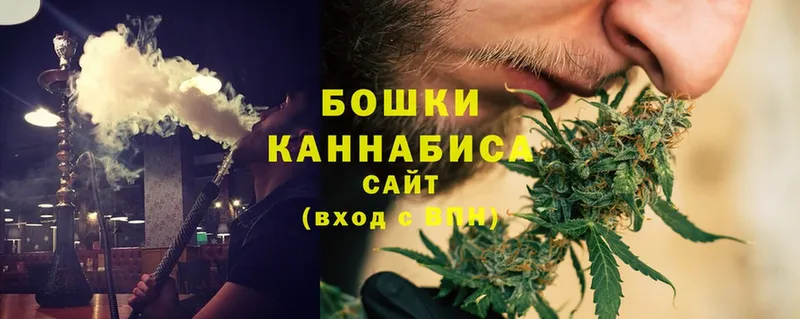 как найти наркотики  mega вход  Бошки марихуана Ganja  Порхов 